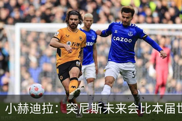 小赫迪拉：突尼斯未来会比本届世界杯更好 批评？我已经付出全力